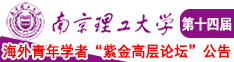 操浓密毛逼网站南京理工大学第十四届海外青年学者紫金论坛诚邀海内外英才！